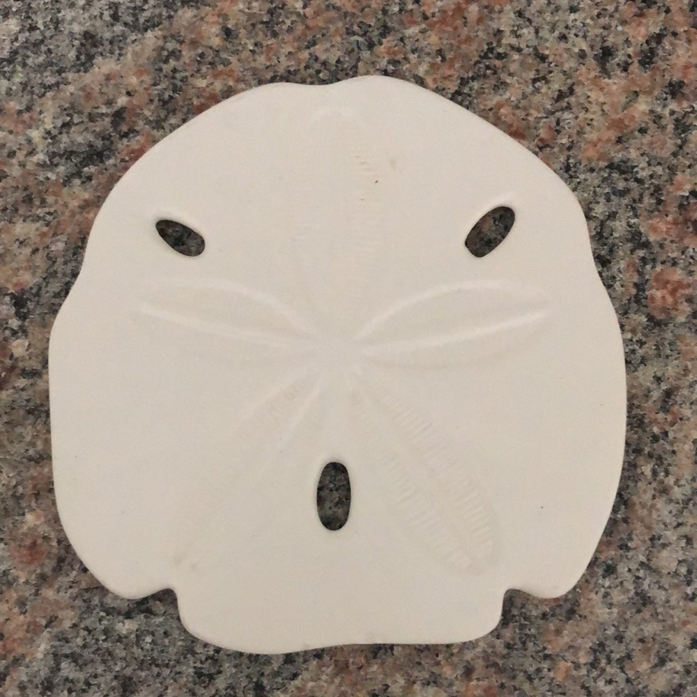 2pc Sand Dollar DECOR - Picture 5 of 8